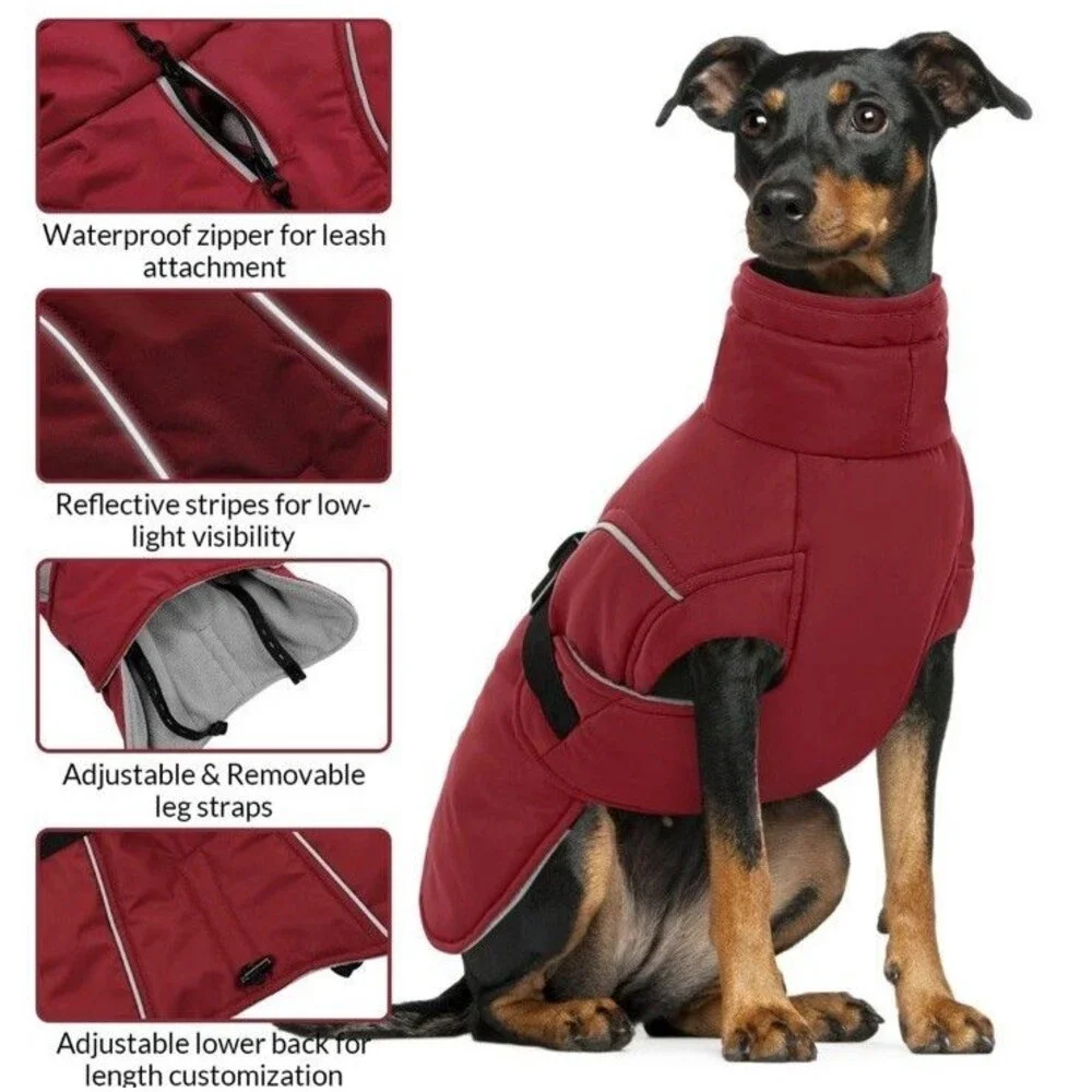 Queenmore Medium Dog Coat Winter Dog Jacket Waterproof Puffy Dog Snowsuit Large